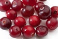 Cranberry closeup Royalty Free Stock Photo