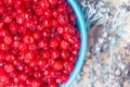 Cranberry Closeup In Turquoise Bowl Royalty Free Stock Photo