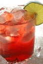 Cranberry Cocktail Royalty Free Stock Photo