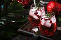 Cranberry cocktail with ice, rosemary and berries, bar tools, blue bar counter background, top view
