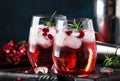 Cranberry cocktail with ice, rosemary and berries, bar tools, blue bar counter background, top view