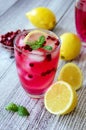 Cranberry cocktail Royalty Free Stock Photo