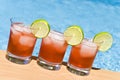 Cranberry Cocktail by the Pool Royalty Free Stock Photo