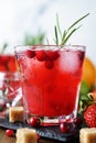 Cranberry cocktail with vodka Royalty Free Stock Photo