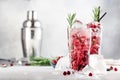 Cranberry cocktail with vodka, ice, juice, rosemary and red berries in highball glass. Refreshing long drink. Gray table Royalty Free Stock Photo