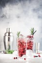 Cranberry cocktail with vodka, ice, juice, rosemary and red berries in highball glass. Refreshing long drink. Gray table Royalty Free Stock Photo