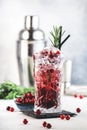 Cranberry cocktail with vodka, ice, juice, rosemary and red berries in highball glass. Refreshing long drink. Gray table Royalty Free Stock Photo