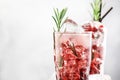 Cranberry cocktail with vodka, ice, juice, rosemary and red berries in highball glass. Refreshing long drink. Gray table Royalty Free Stock Photo