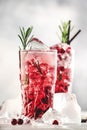 Cranberry cocktail with vodka, ice, juice, rosemary and red berries in highball glass. Refreshing long drink. Gray table Royalty Free Stock Photo