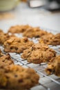 Cranberry cookies