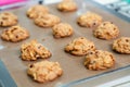 Cranberry cookies