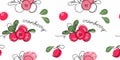 Cranberry, cowberry vector pattern. One continuous line art drawing cranberries pattern