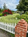 Cranberry crush hibiscus flowers growing in flower garden by white gazebo Royalty Free Stock Photo