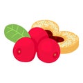 Cranberry dessert icon isometric vector. Fresh red cranberry and fruit cookie