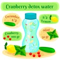 Cranberry Detox Water Flat Composition