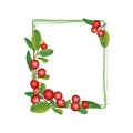 Cranberry frame isolated on white background.