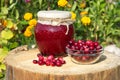 Cranberry jam and fresh cranberry berries in a Cup on a stump in the garden Royalty Free Stock Photo