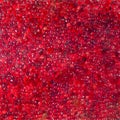 Cranberry ice bubbles