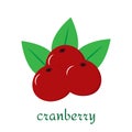 Cranberry icon in flat style isolated on white background.