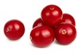 Cranberry isolated on white background with clipping path and full depth of field Royalty Free Stock Photo