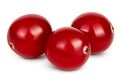 Cranberry isolated on white background with clipping path and full depth of field Royalty Free Stock Photo