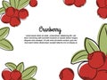 Cranberry isolated on white background Royalty Free Stock Photo