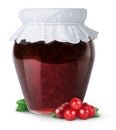 Cranberry jam Royalty Free Stock Photo