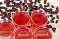 Cranberry juice and dried cranberries Royalty Free Stock Photo