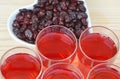 Cranberry juice and dried cranberries Royalty Free Stock Photo