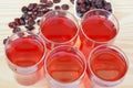 Cranberry juice and dried cranberries Royalty Free Stock Photo