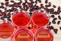 Cranberry juice and dried cranberries Royalty Free Stock Photo