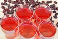 Cranberry juice and dried cranberries Royalty Free Stock Photo