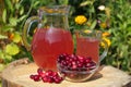 Cranberry juice in a glass jar and fresh cranberry berries on a stump in the garden Royalty Free Stock Photo