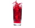 Cranberry Juice Splash Royalty Free Stock Photo