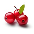 Cranberry with leaf isolated on white background Royalty Free Stock Photo