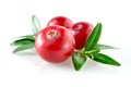 Cranberry with leaf on white background