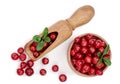 Cranberry with leaf in wooden bowl and scoop isolated on white background closeup. Top view Royalty Free Stock Photo