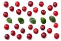 Cranberry with leaves isolated on white. With clipping path. Full depth of field. Royalty Free Stock Photo