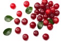 Cranberry with leaves isolated on white. With clipping path. Full depth of field Royalty Free Stock Photo