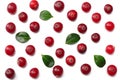 Cranberry with leaves isolated on white. With clipping path. Full depth of field. Royalty Free Stock Photo