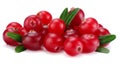 Cranberry with leaves isolated on white. With clipping path. Full depth of field. Royalty Free Stock Photo