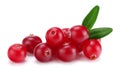 Cranberry with leaves isolated on white. With clipping path. Full depth of field. Royalty Free Stock Photo