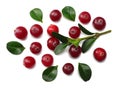 Cranberry with leaves isolated on white. With clipping path. Full depth of field. top view Royalty Free Stock Photo