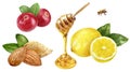 Cranberry lemon honey almond watercolor illustration isolated on white background