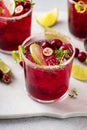 Cranberry and lime margarita cocktail or mocktail Royalty Free Stock Photo