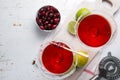 Cranberry and lime martini Royalty Free Stock Photo