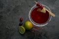 Cranberry and lime martini Royalty Free Stock Photo