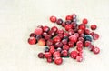 Cranberry on a linen fabric background. Vitamine. Berry Royalty Free Stock Photo