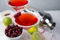 Cranberry and lime martini Royalty Free Stock Photo