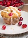 Cranberry Muffin